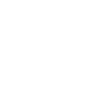 VISIONARY